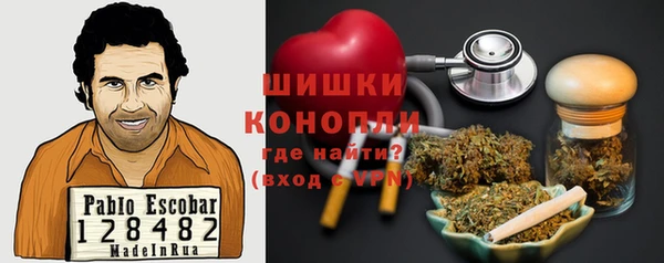 тгк Нея