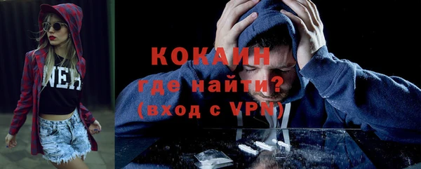 тгк Нея