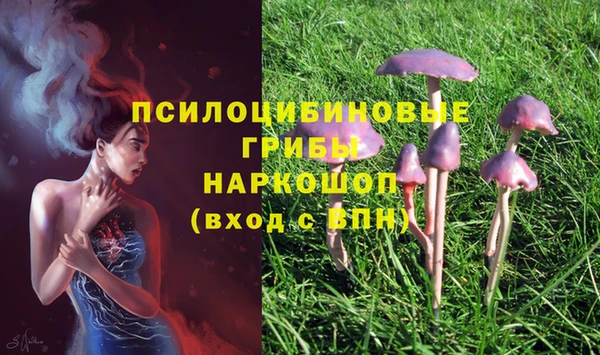 твердый Нефтекумск