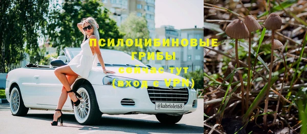 тгк Нея