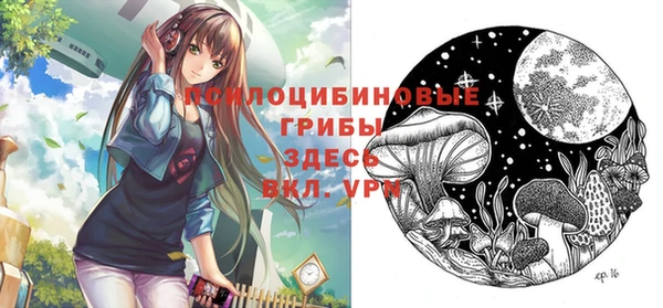 тгк Нея