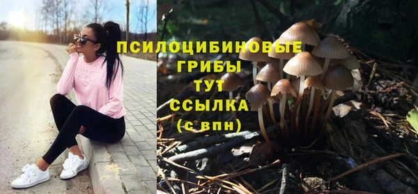 твердый Нефтекумск