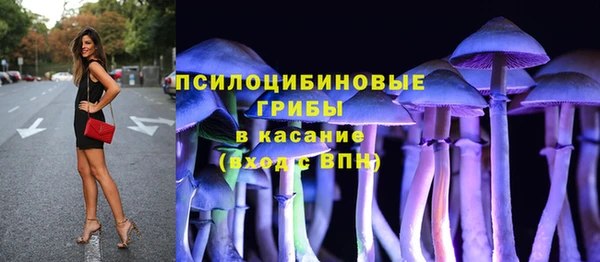 тгк Нея