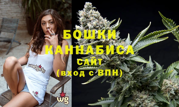 тгк Нея