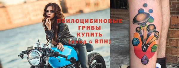 тгк Нея